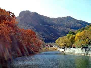 新澳天天开奖资料大全旅游团，小芳的故事